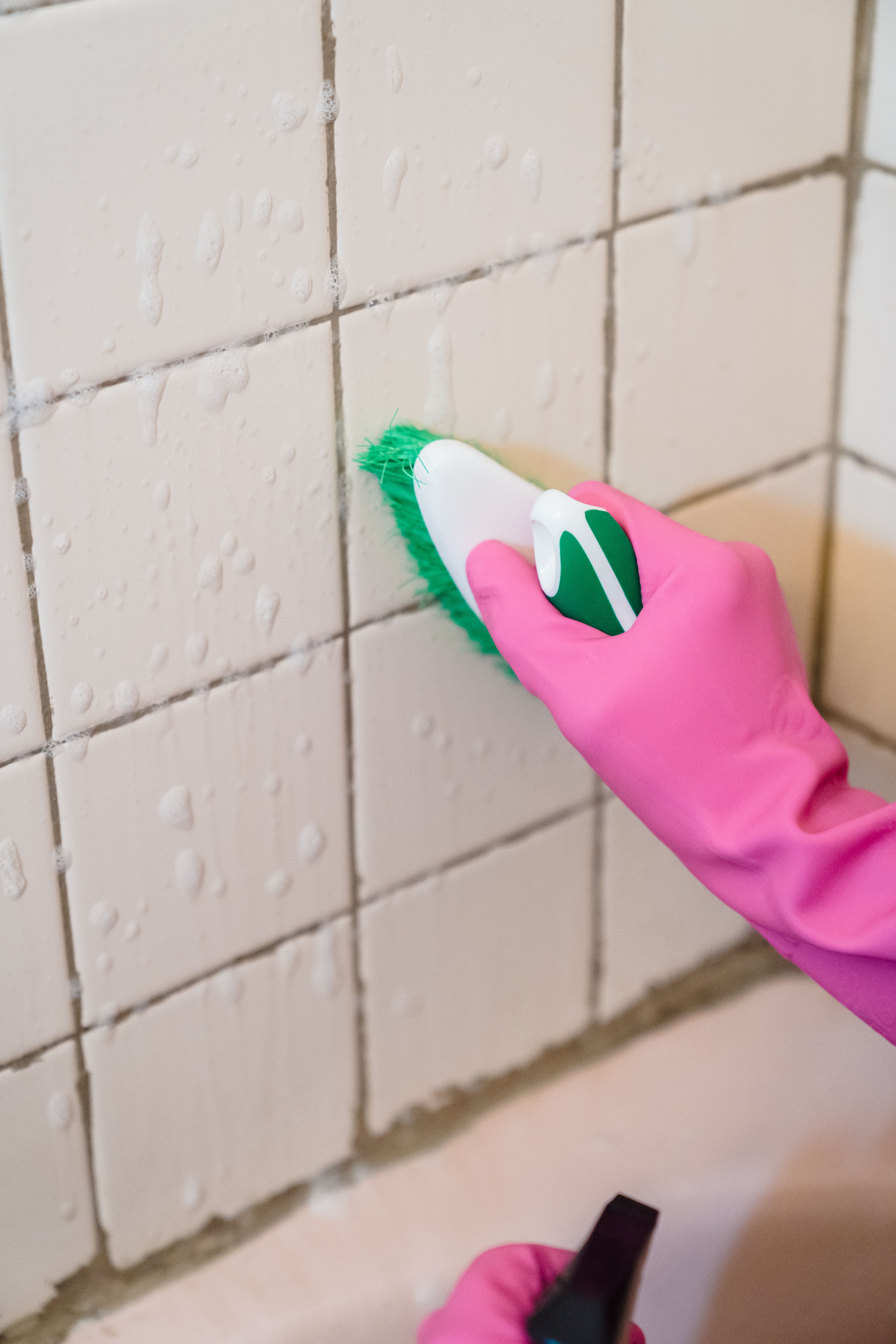 Environmental Hazard Abatement and Mould Remediation